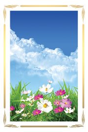 Flores no jardim