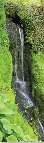 Natureza