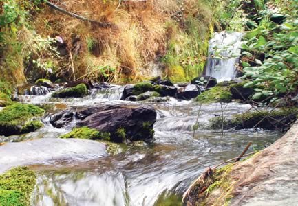 Natureza